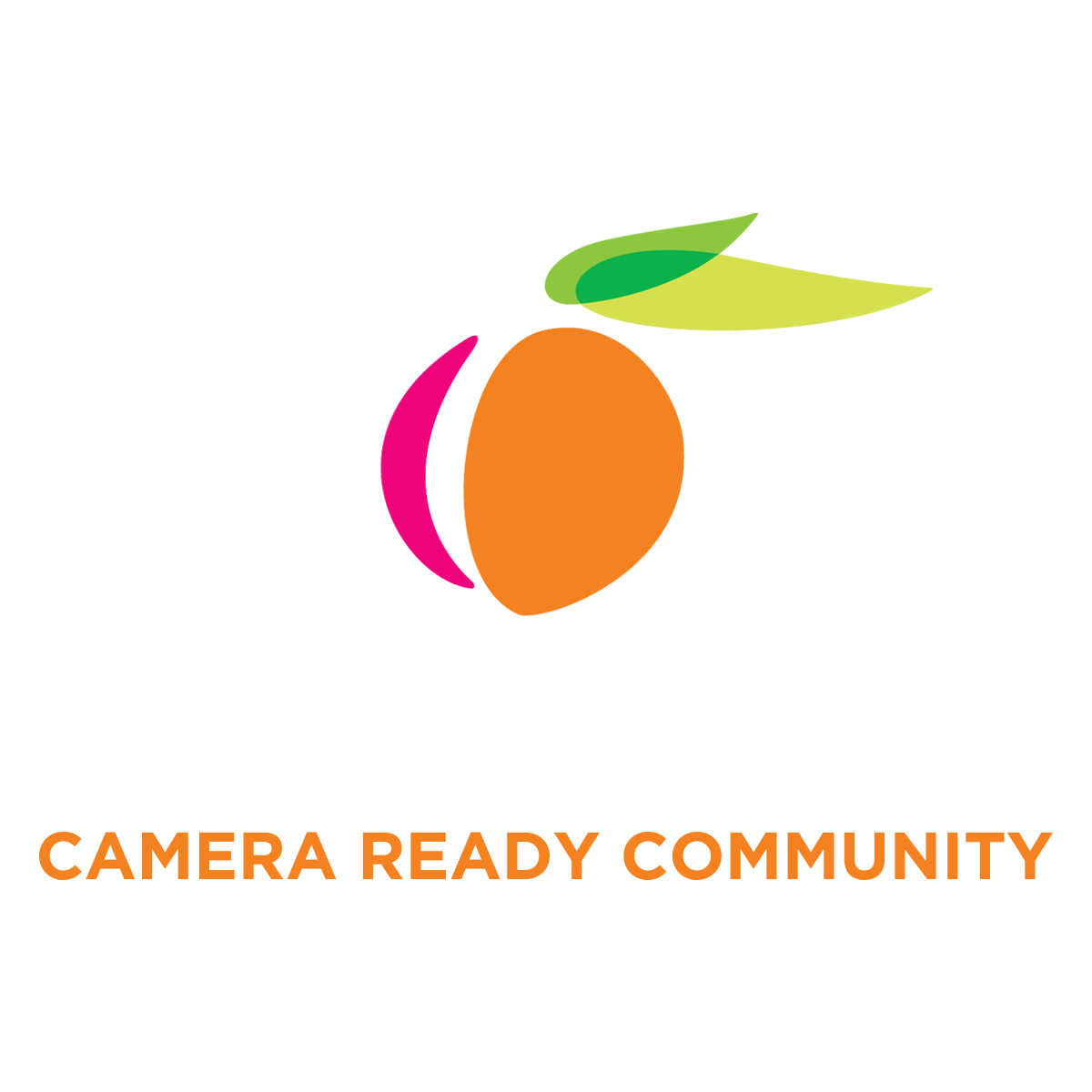 georgia logo